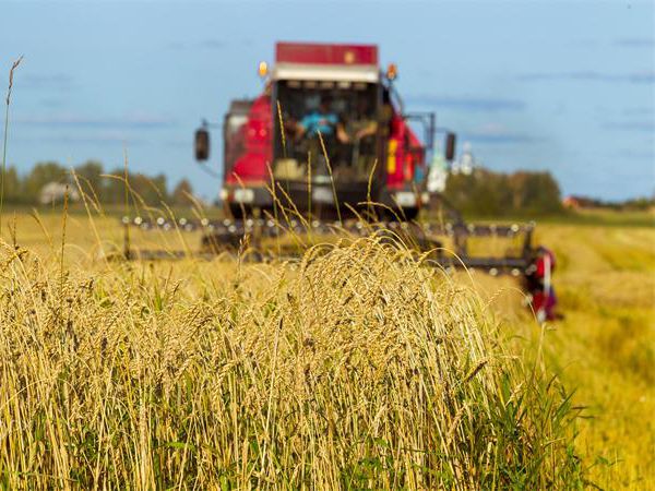 Produtos hidráulicos para colheitadeiras
